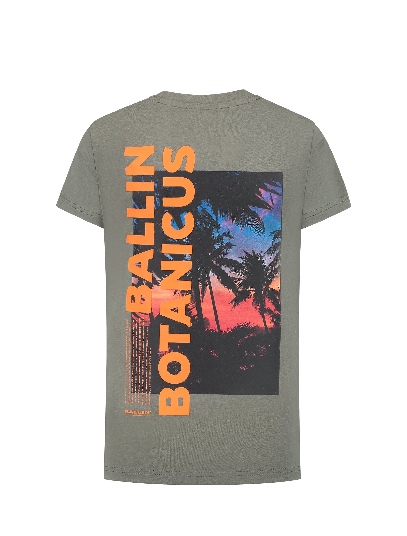 Ballin Amsterdam Regular fit Crewneck SS T-shirts