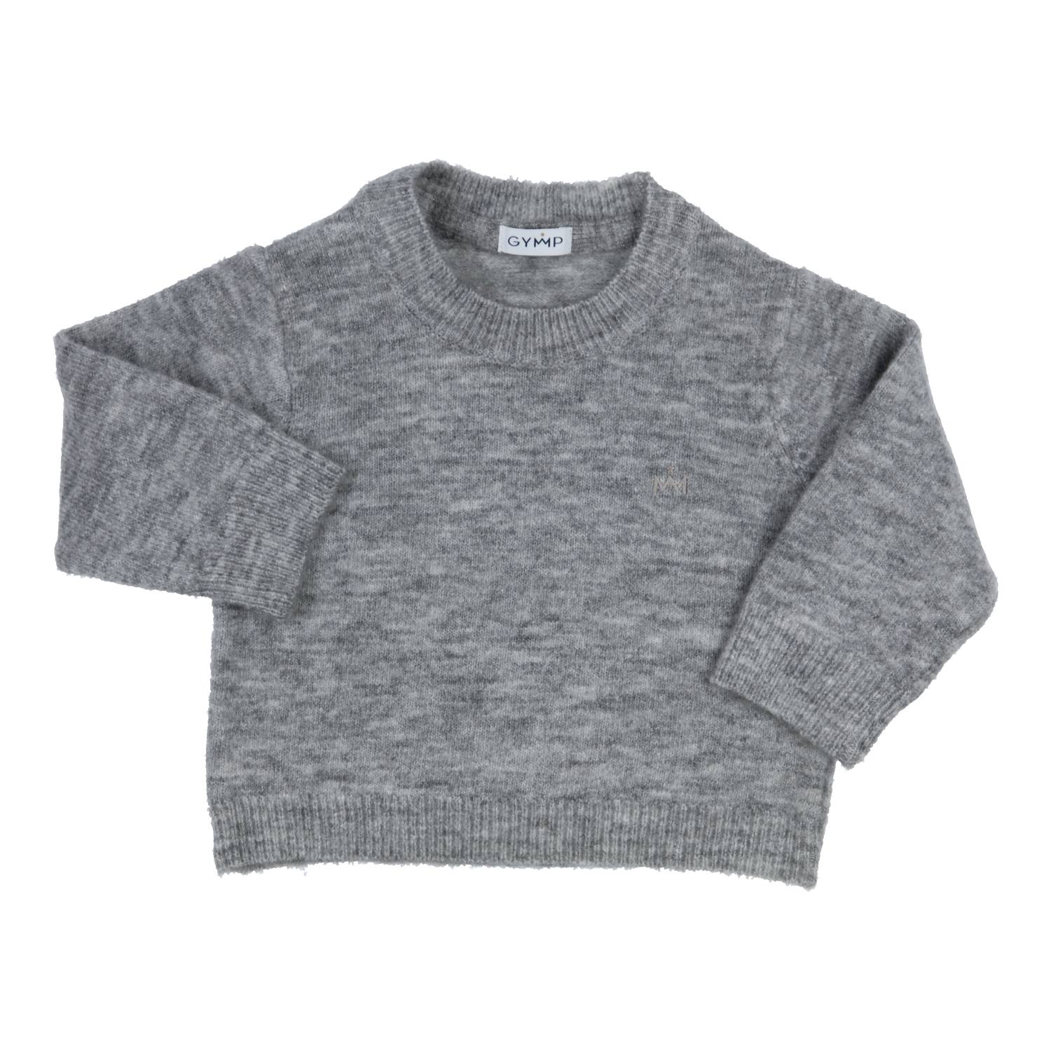 Jongens Pullover Harald van Gymp in de kleur Grey in maat 86.