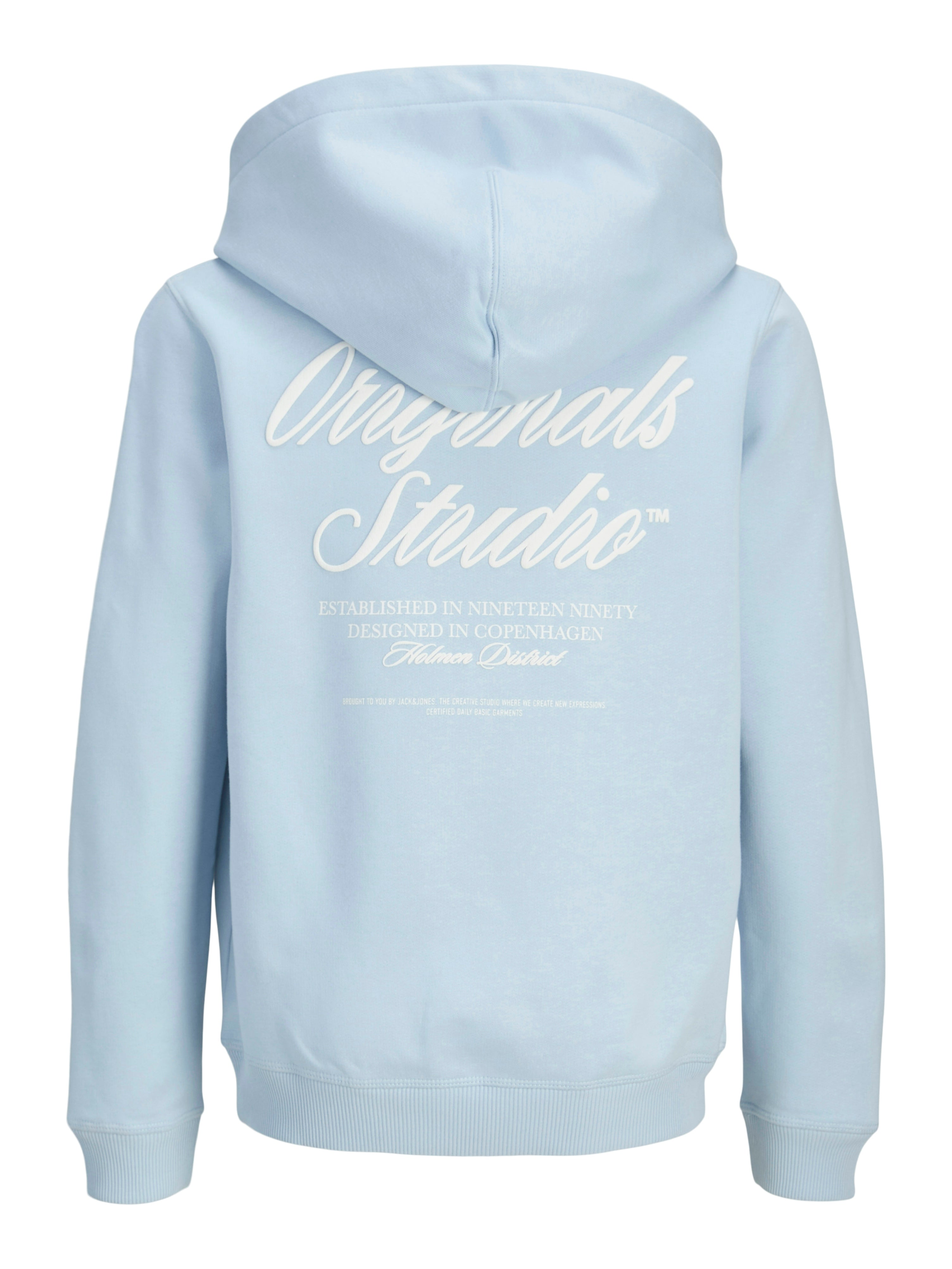 Jongens JORNORREBRO TYPO BACK SWEAT HOOD SN JNR van Jack & Jones Junior in de kleur Skyway in maat 176.