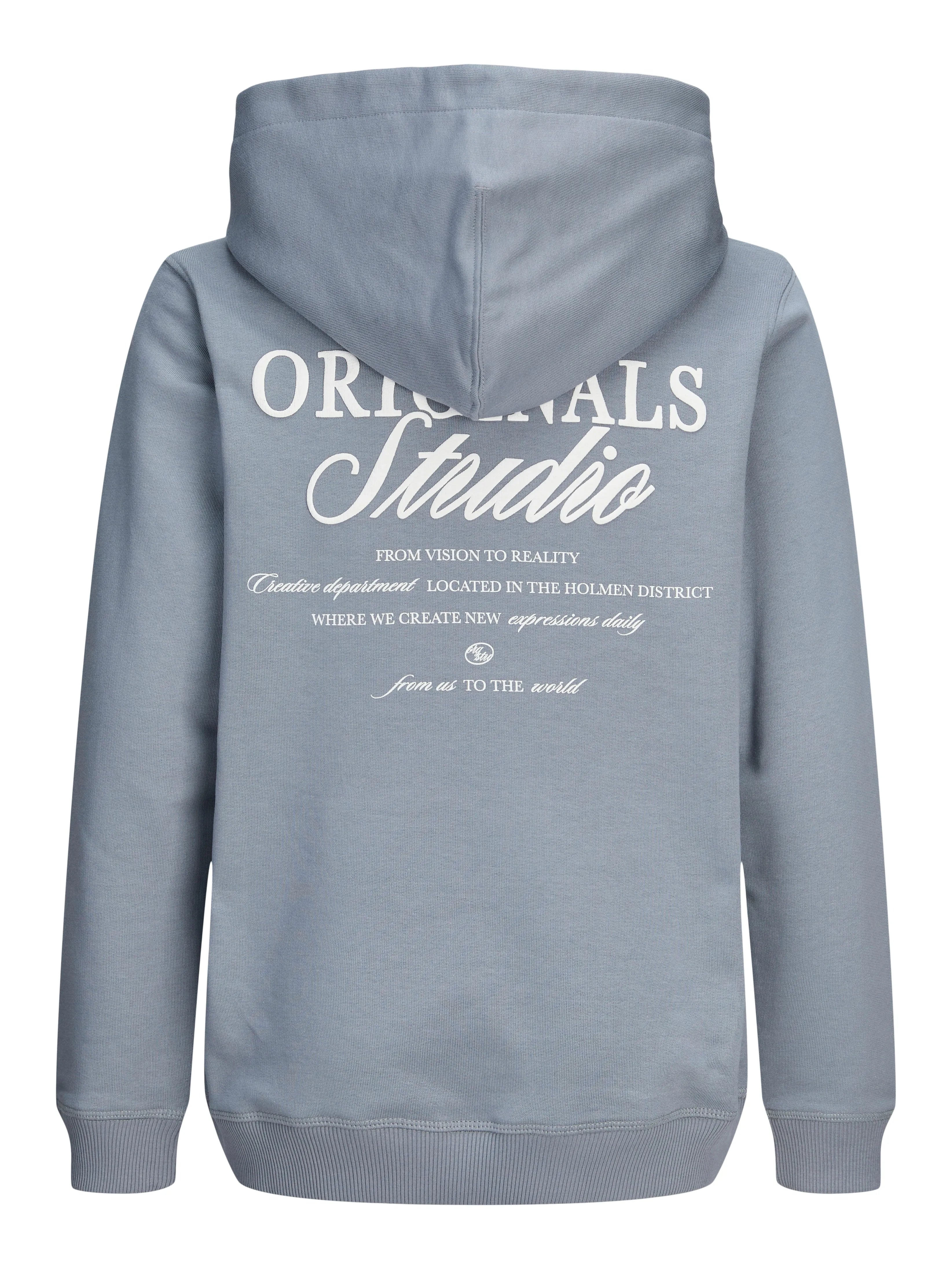 Jongens JORNORREBRO TYPO BACK SWEAT HOOD SN JNR van Jack & Jones Junior in de kleur Tradewinds in maat 176.