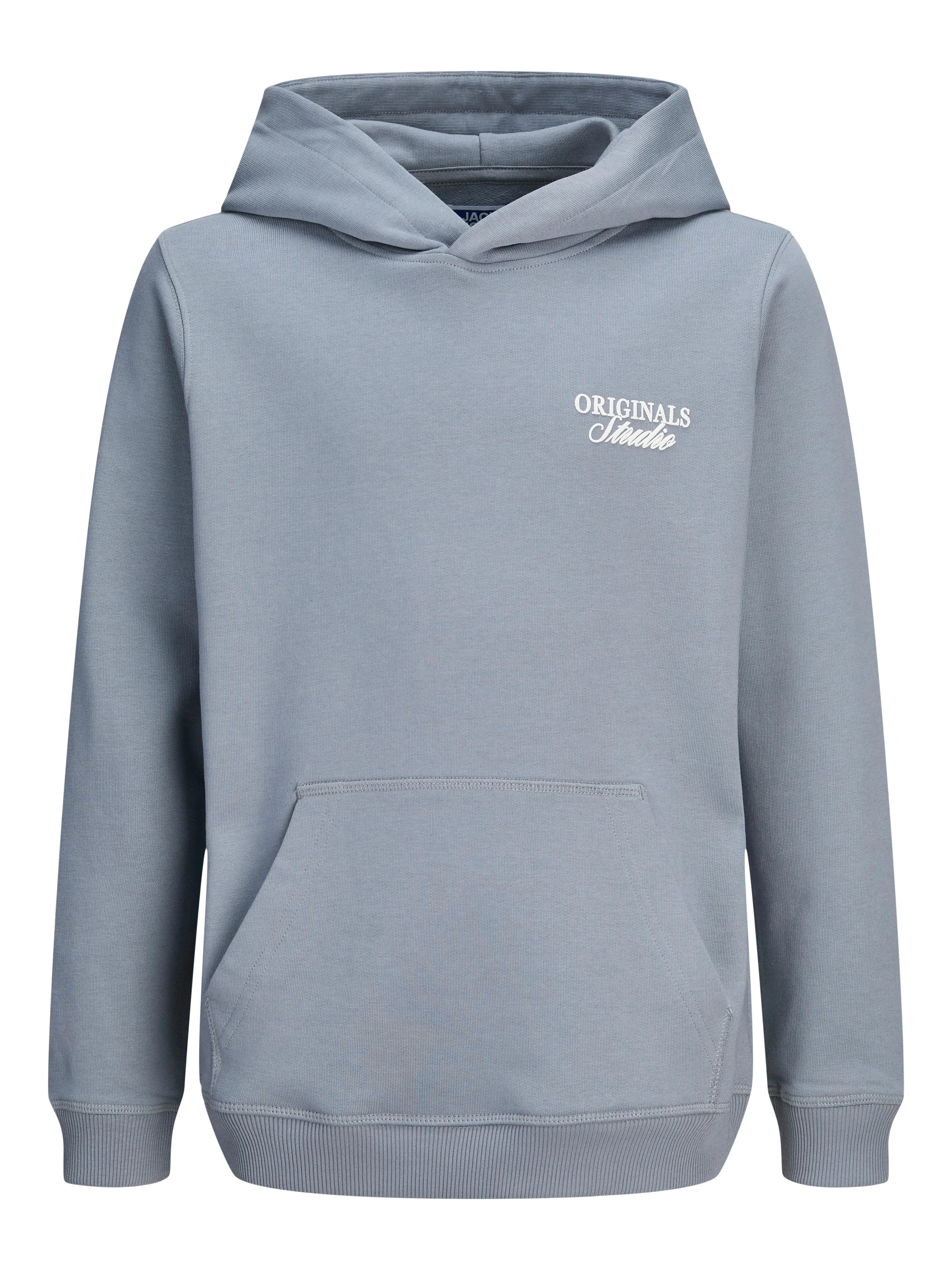 Jongens JORNORREBRO TYPO BACK SWEAT HOOD SN JNR van Jack & Jones Junior in de kleur Tradewinds in maat 176.