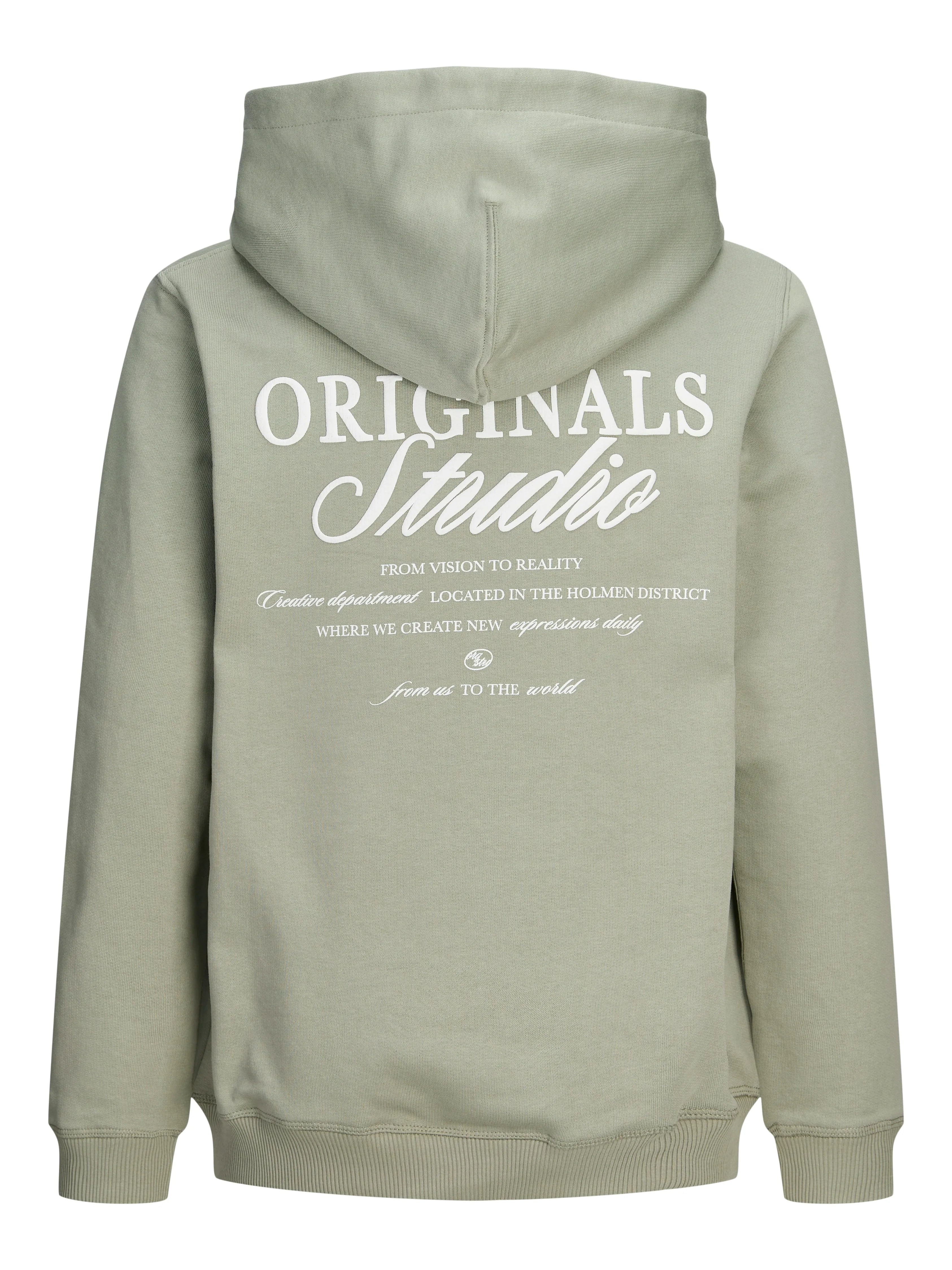 Jongens JORNORREBRO TYPO BACK SWEAT HOOD SN JNR van Jack & Jones Junior in de kleur Seagrass in maat 176.