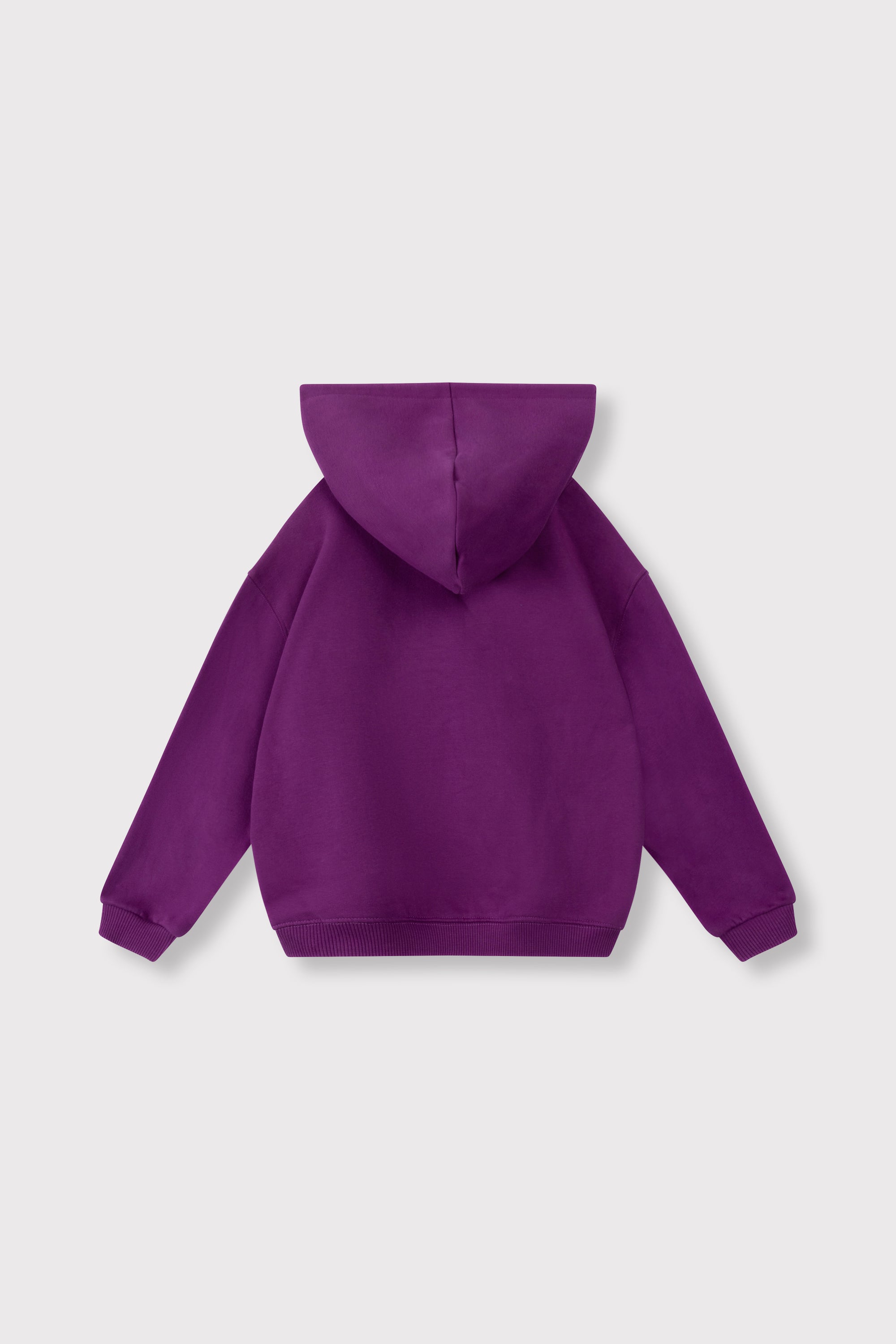 Meisjes Hooded Sweater van ALIX Mini in de kleur Purple magic in maat 158-164.