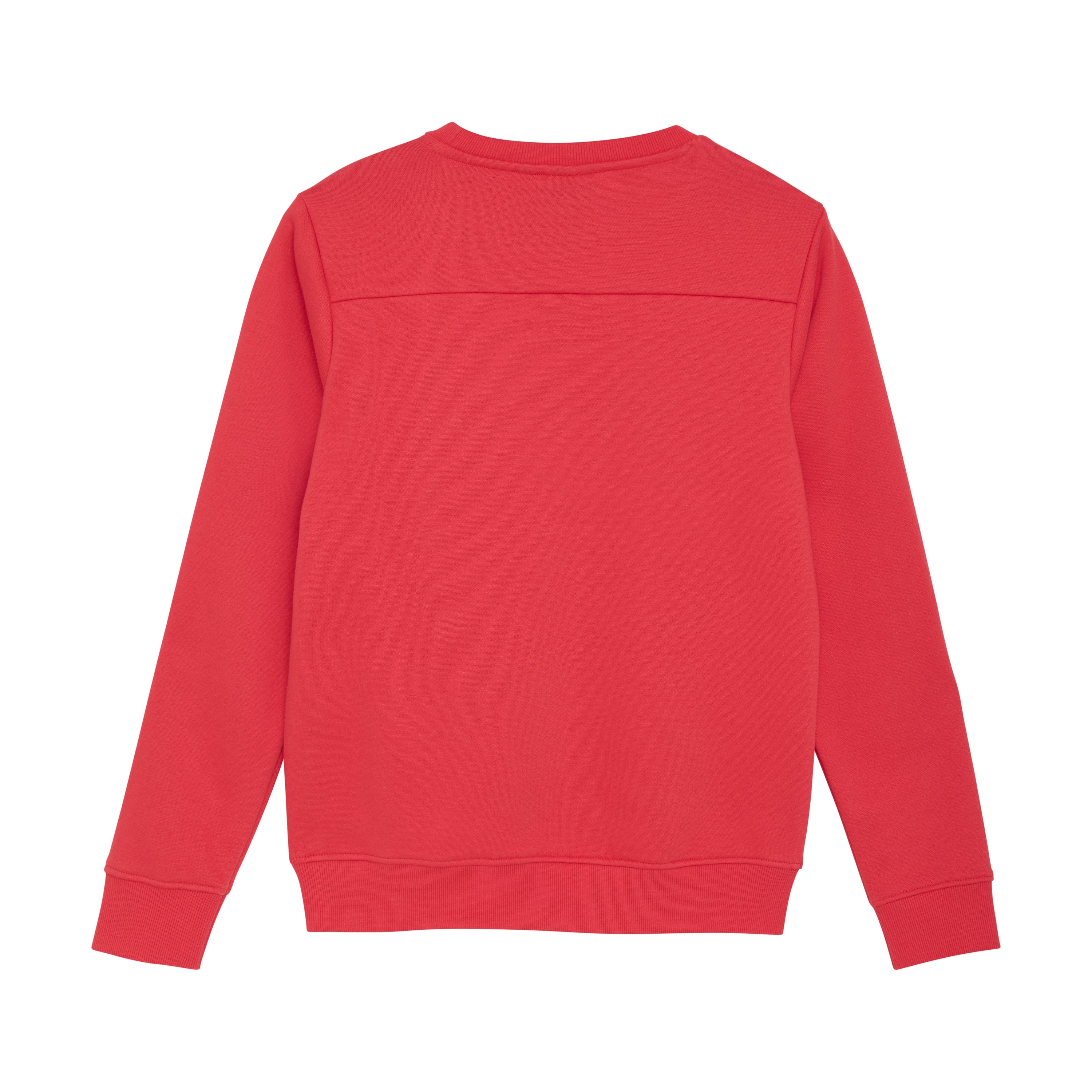 Jongens Sweater Print Sleeve van Indian Blue Jeans in de kleur Hibiscus Red in maat 176.