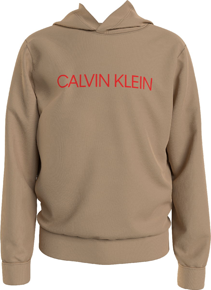Calvin Klein Institutional Logo Hoodie - Bubbles & Bo