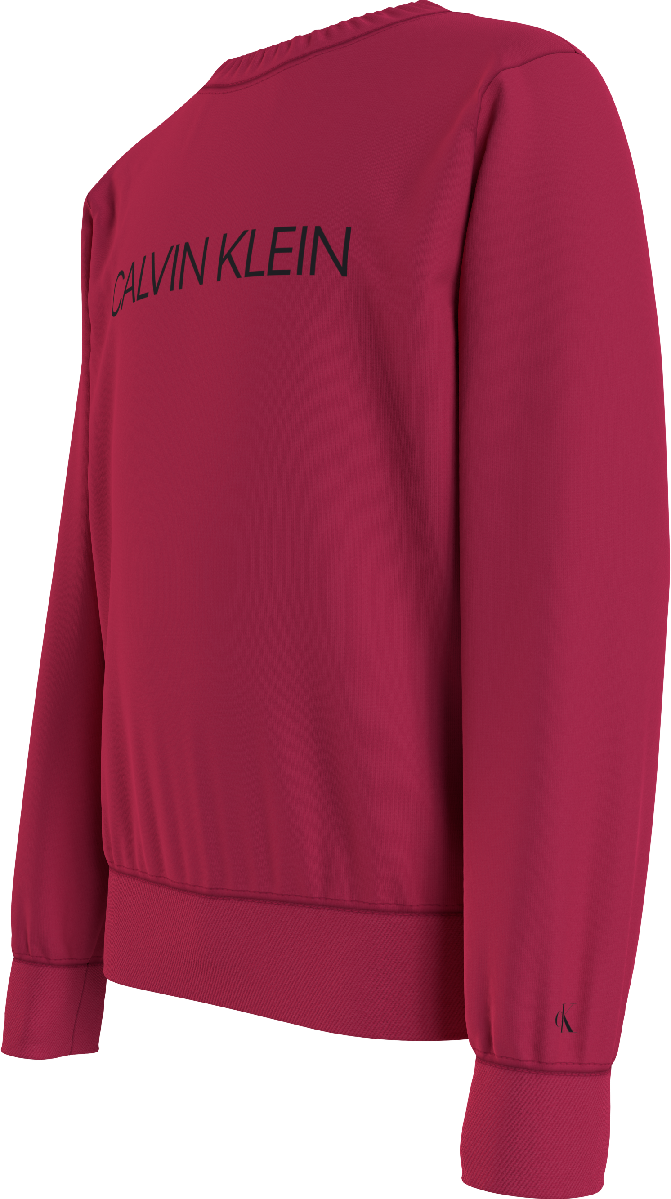 Calvin Klein Institutional Logo Sweater - Bubbles & Bo