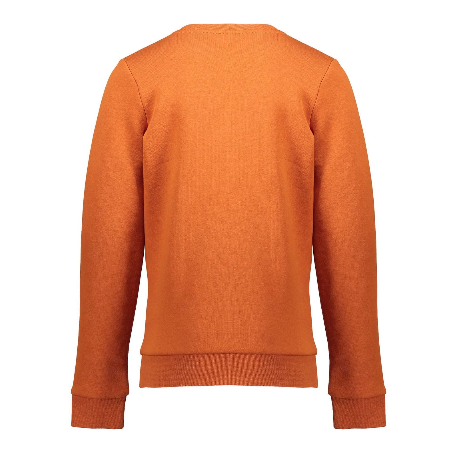 Geisha Sweat "tiger" round neck l/s - Bubbles & Bo