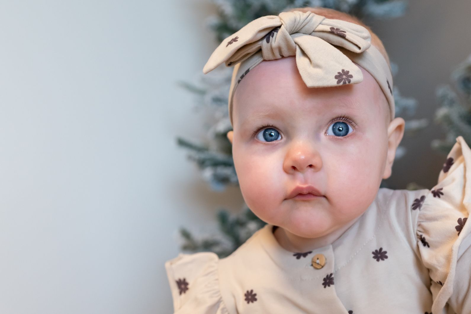 Meisjes Headband van Klein Baby in de kleur AOP Flower in maat 62-68.