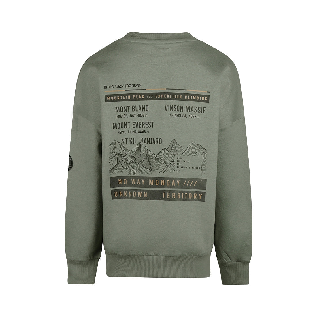 Jongens Sweater loose fit van No Way Monday in de kleur Faded green in maat 164.