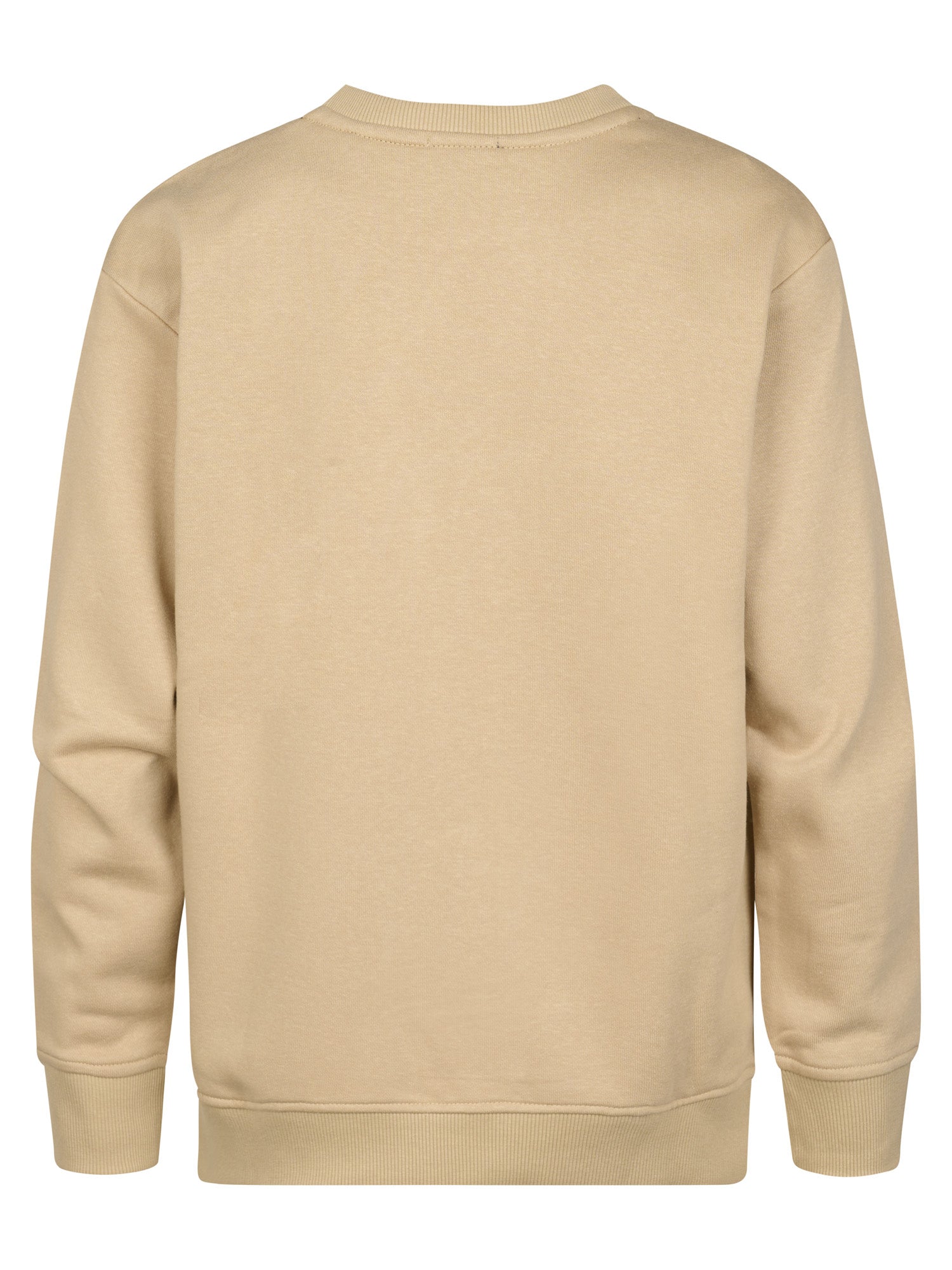 Jongens Sweater Round Neck van in de kleur Light Tan in maat 176.