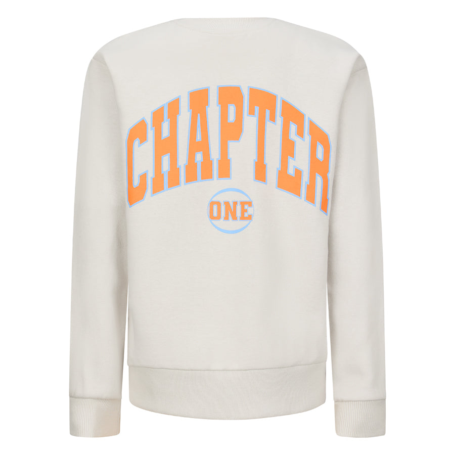 Jongens Crewneck sweater Joshua van RETOUR in de kleur light grey in maat 182-188.