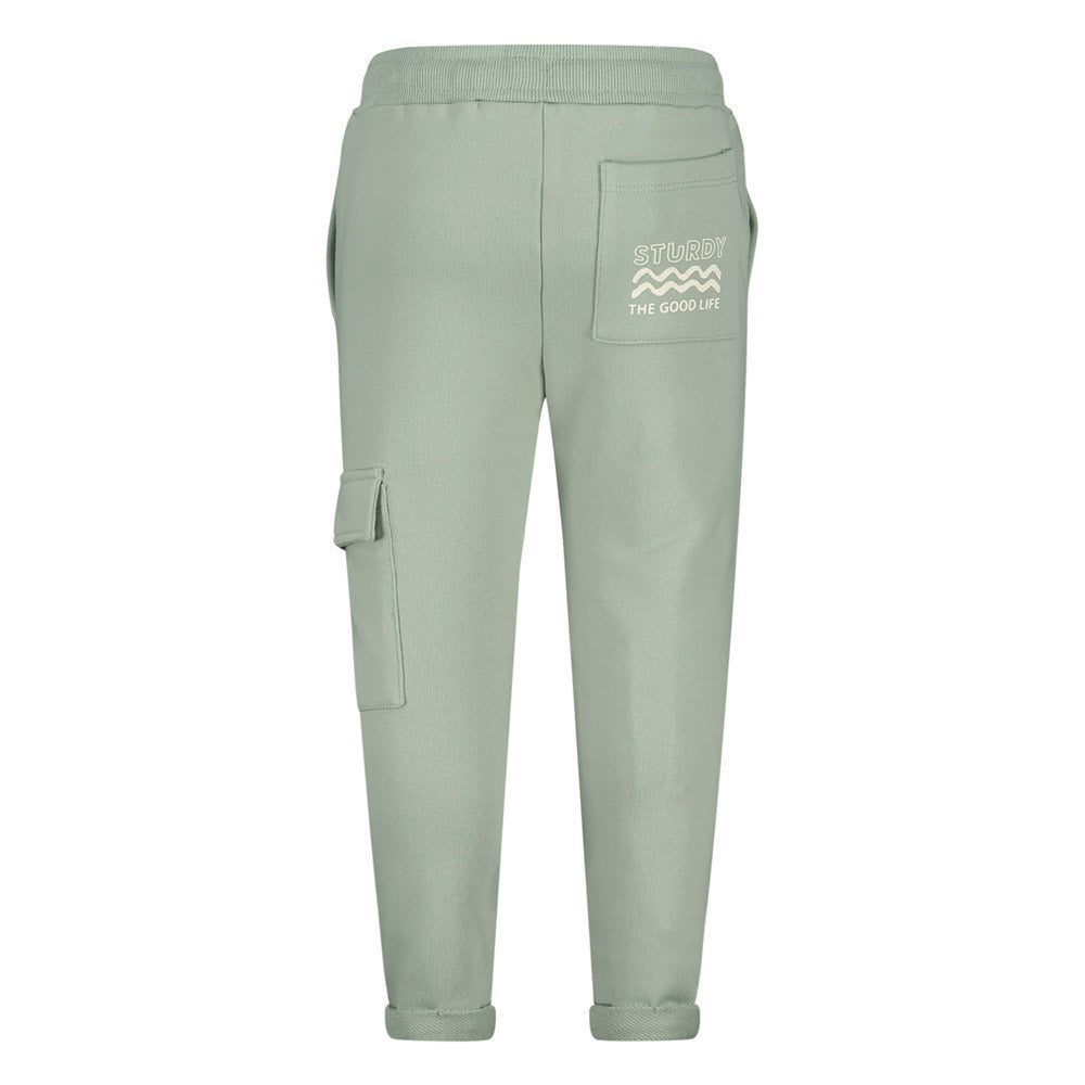 Jongens Broek - The Good Life van Sturdy in de kleur Mint in maat 128.