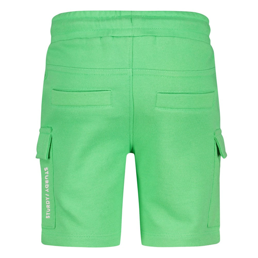 Jongens Short - Explore More van Sturdy in de kleur l.Groen in maat 128.