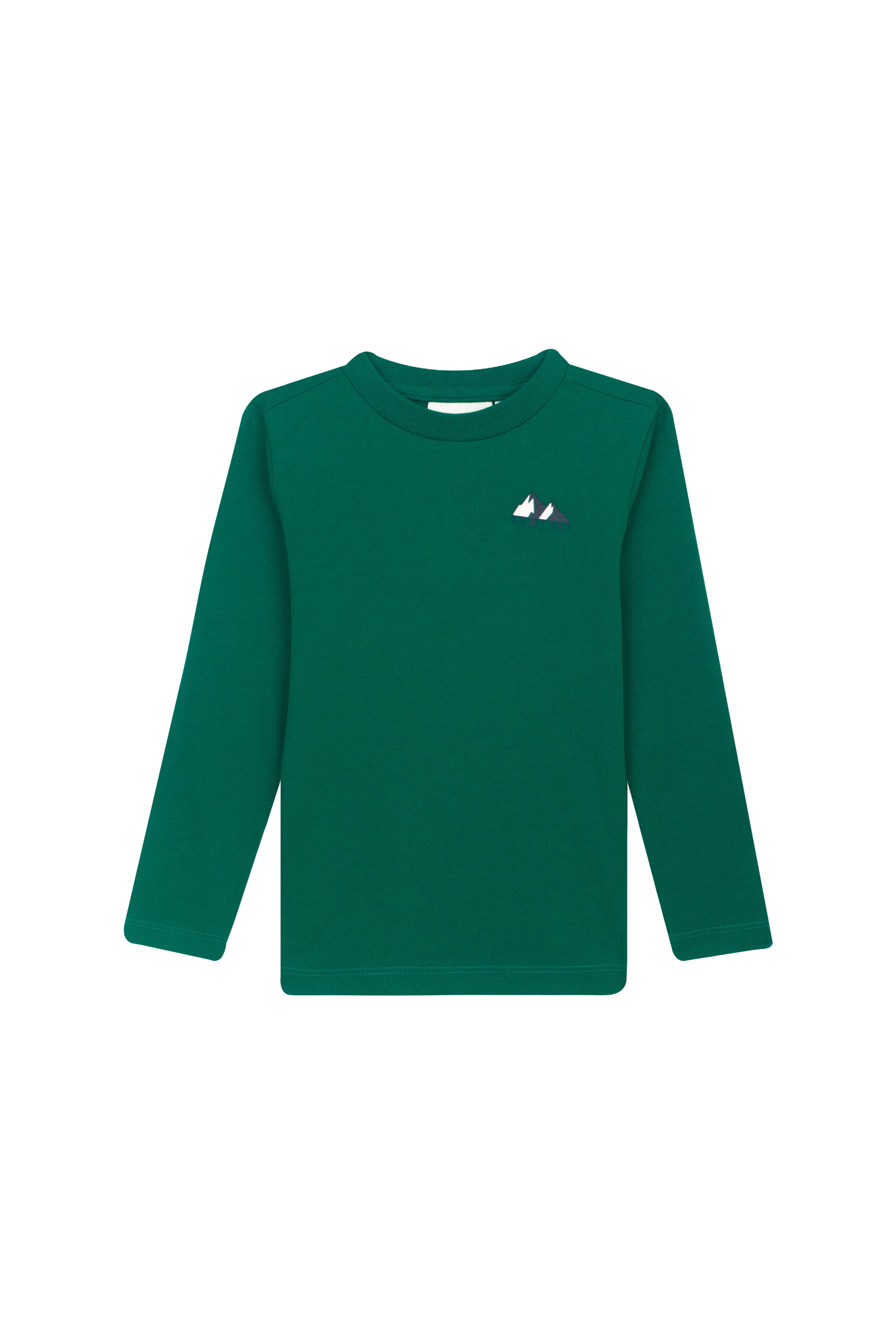 Jongens T-shirt long sleeves ELLIOT-SB-03-G van Someone in de kleur GREEN in maat 134.