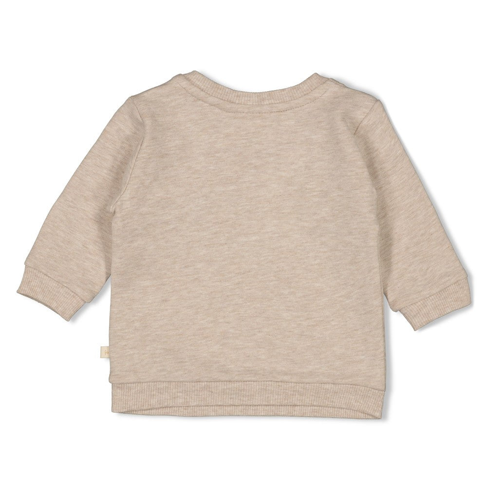 Unisexs Sweater - Sleepy Sheepy van Feetje in de kleur Bruin in maat 62.