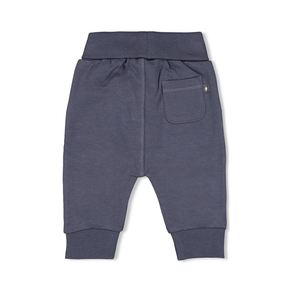 Jongens Broek - Narwal van Feetje in de kleur Blauw in maat 86.