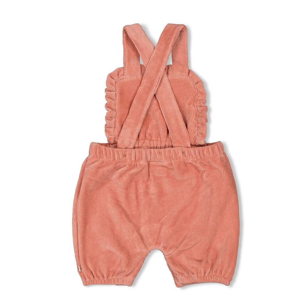 Meisjes Tuinbroek kort velours rib - Woodland Bloom van Feetje in de kleur Roze in maat 86.