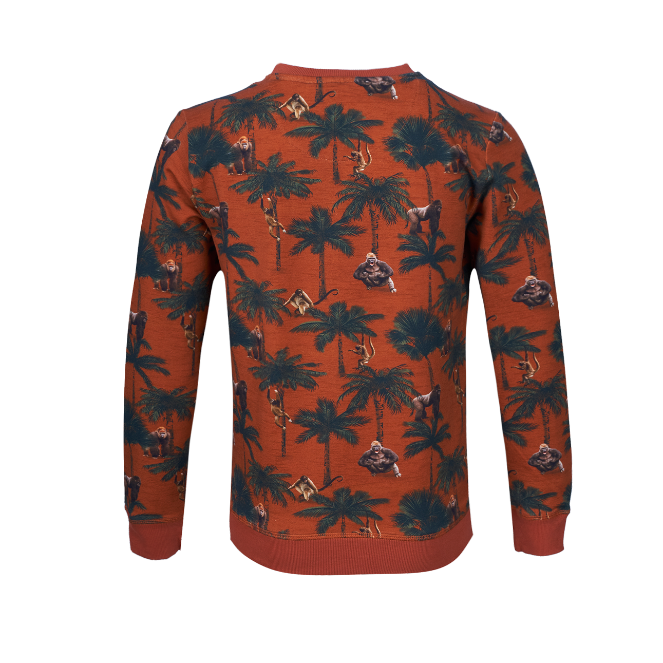 Someone Sweater Long Sleeves Someone Light Rust