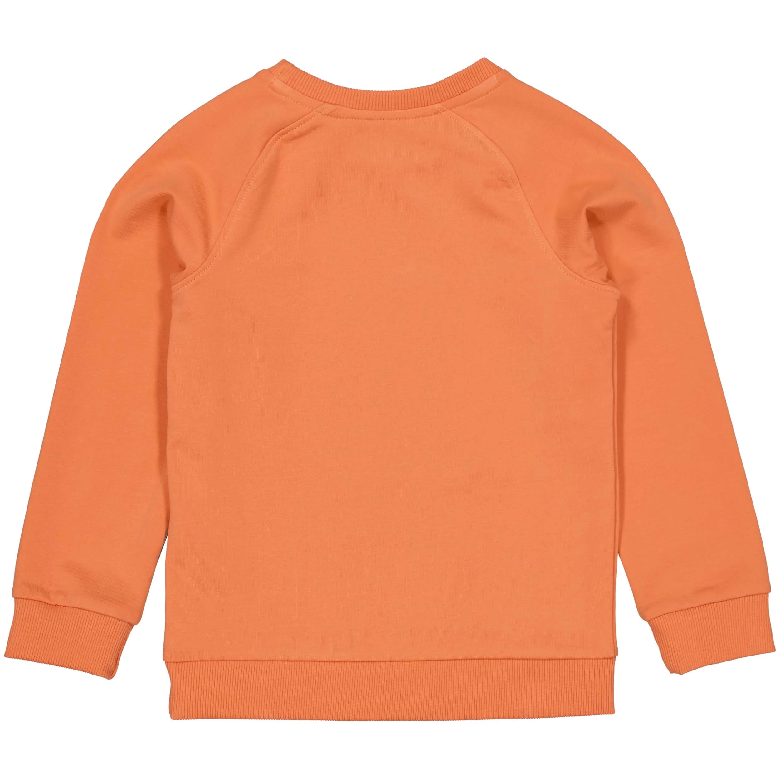 Jongens Sweater LELMAR van Levv in de kleur Orange Red in maat 128.