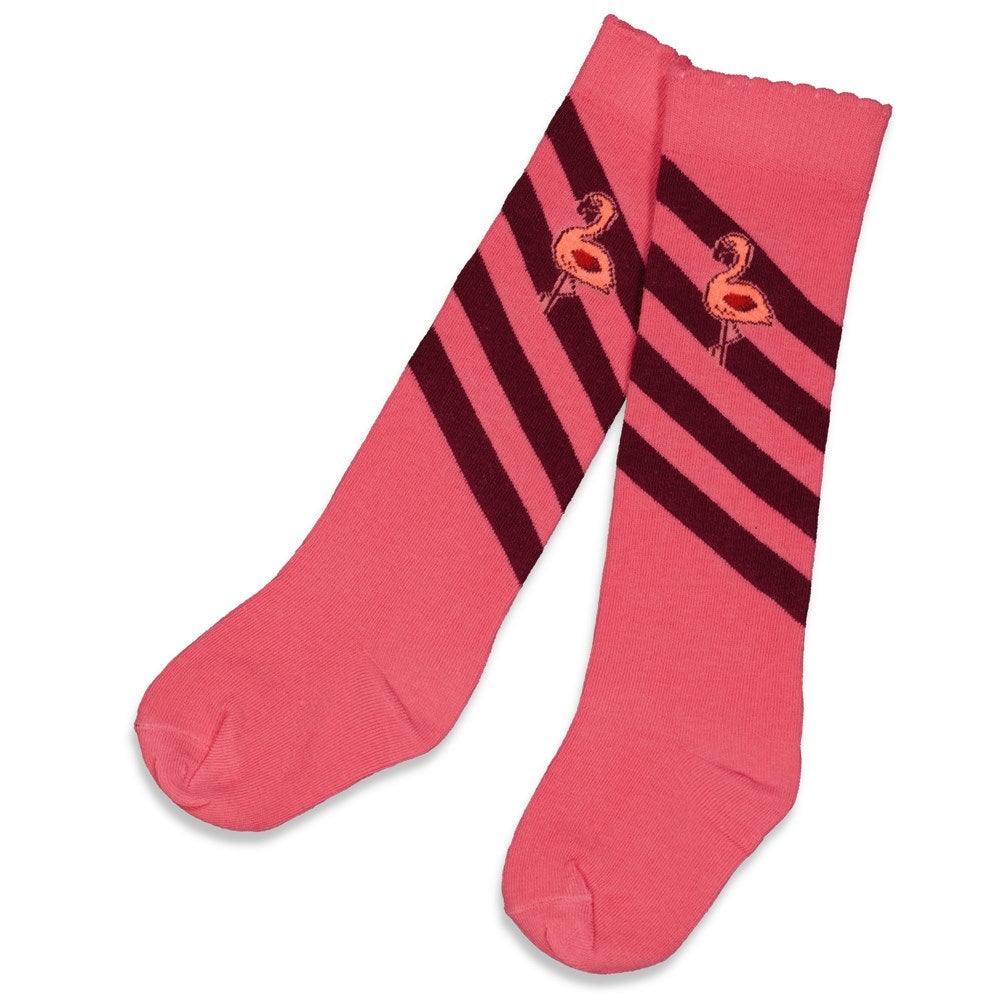 Meisjes Kniekous - Birds Of Paradise van Jubel in de kleur Roze in maat 92-98.