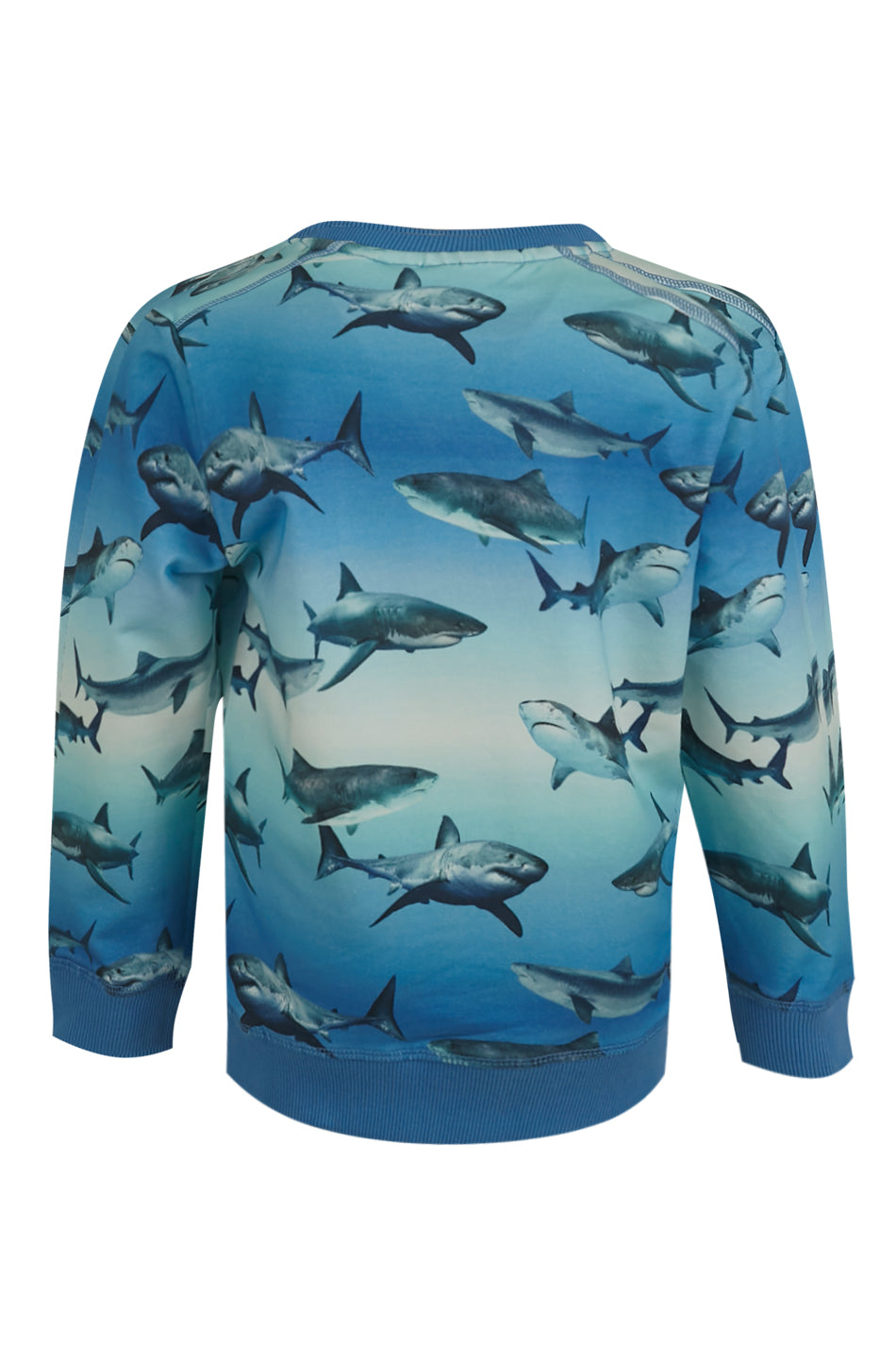 Someone Sweater Long Sleeves WALLY-SB-16-C