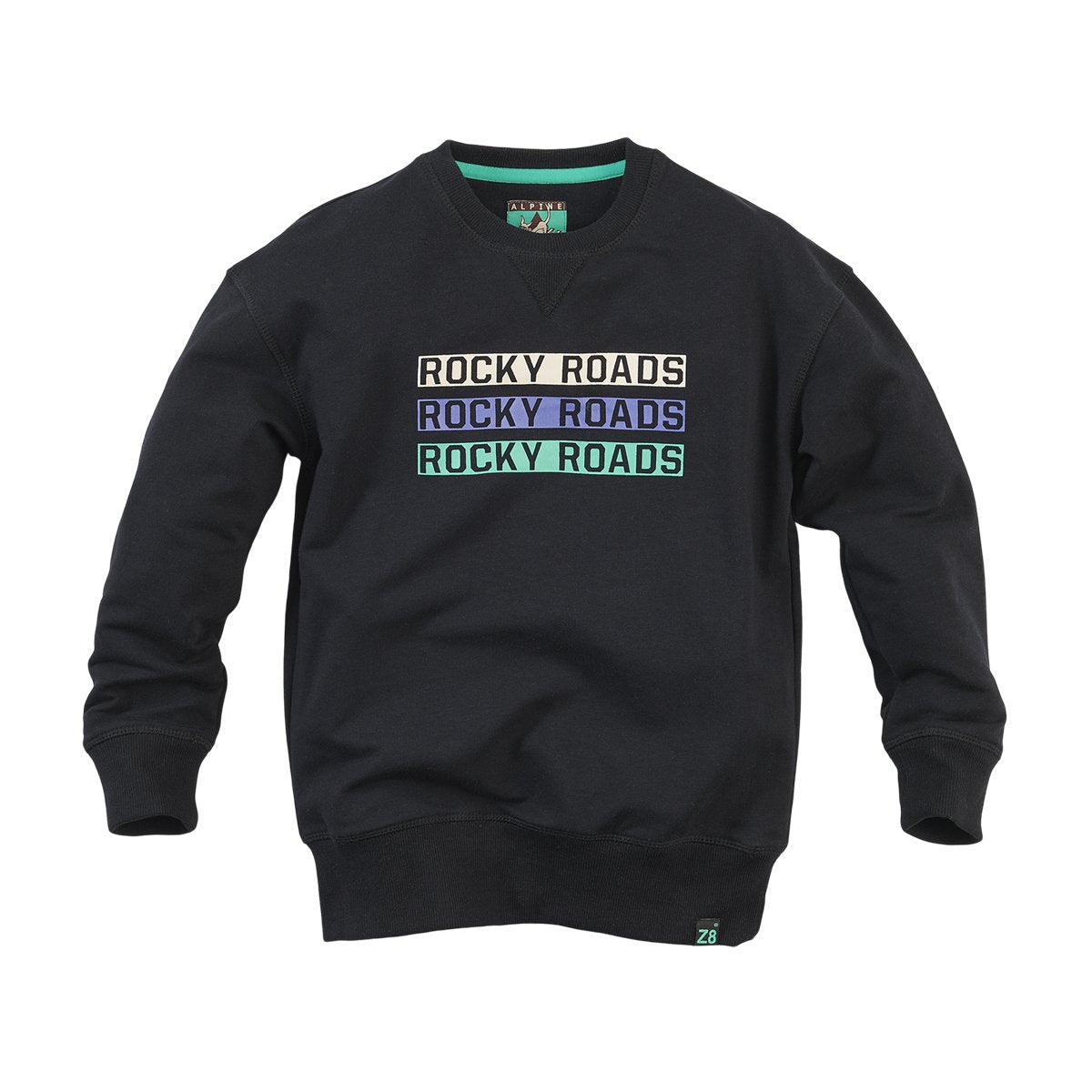 Jongens Sweater Joel van Z8 in de kleur Black bat in maat 140/146.