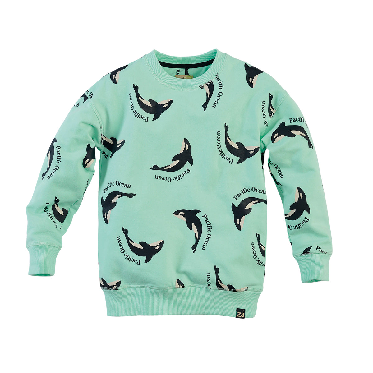 Z8 Sweater Philo Fresh mint/AOP