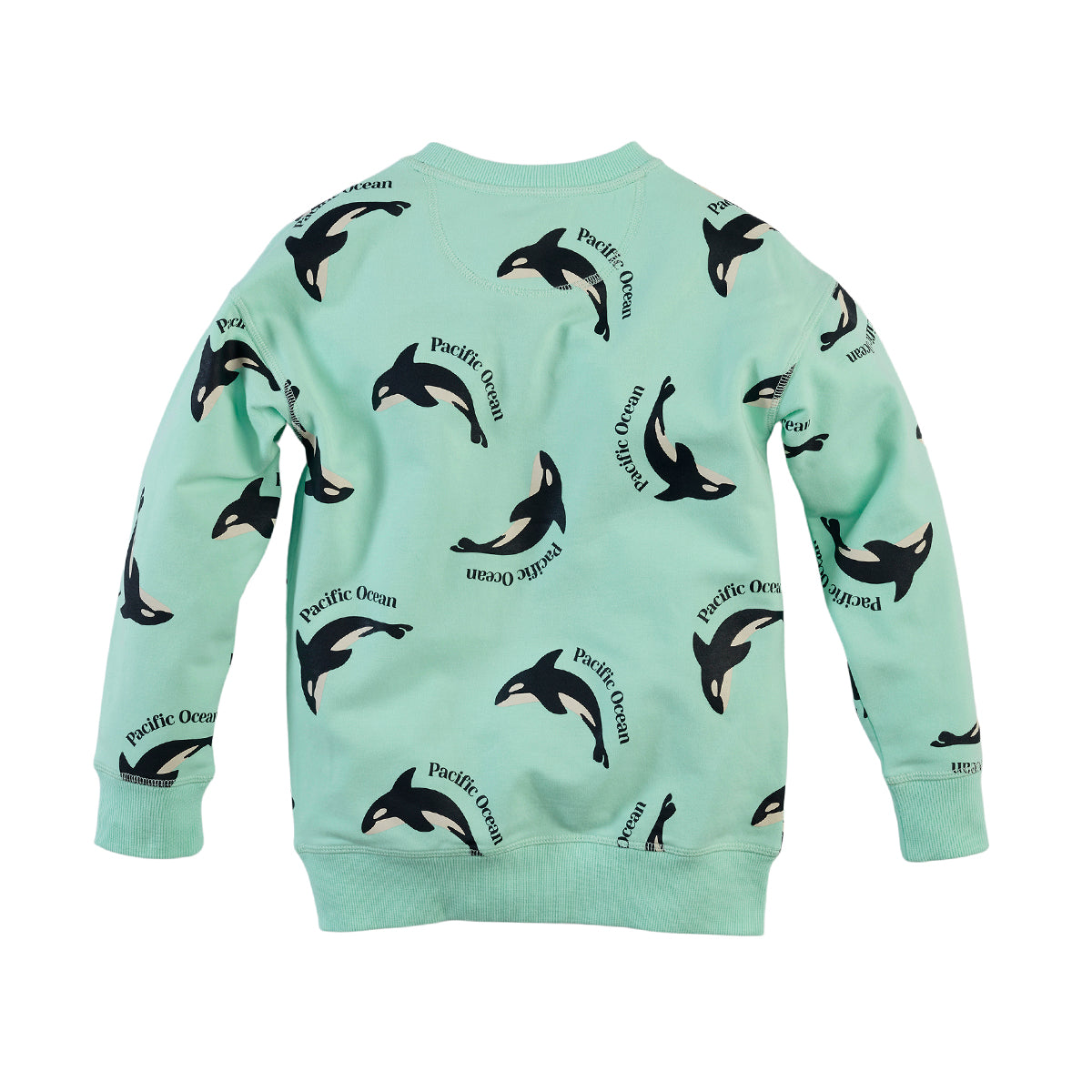 Z8 Sweater Philo Fresh mint/AOP
