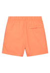 Shiwi Boys MILO swim shorts 4 inch solid