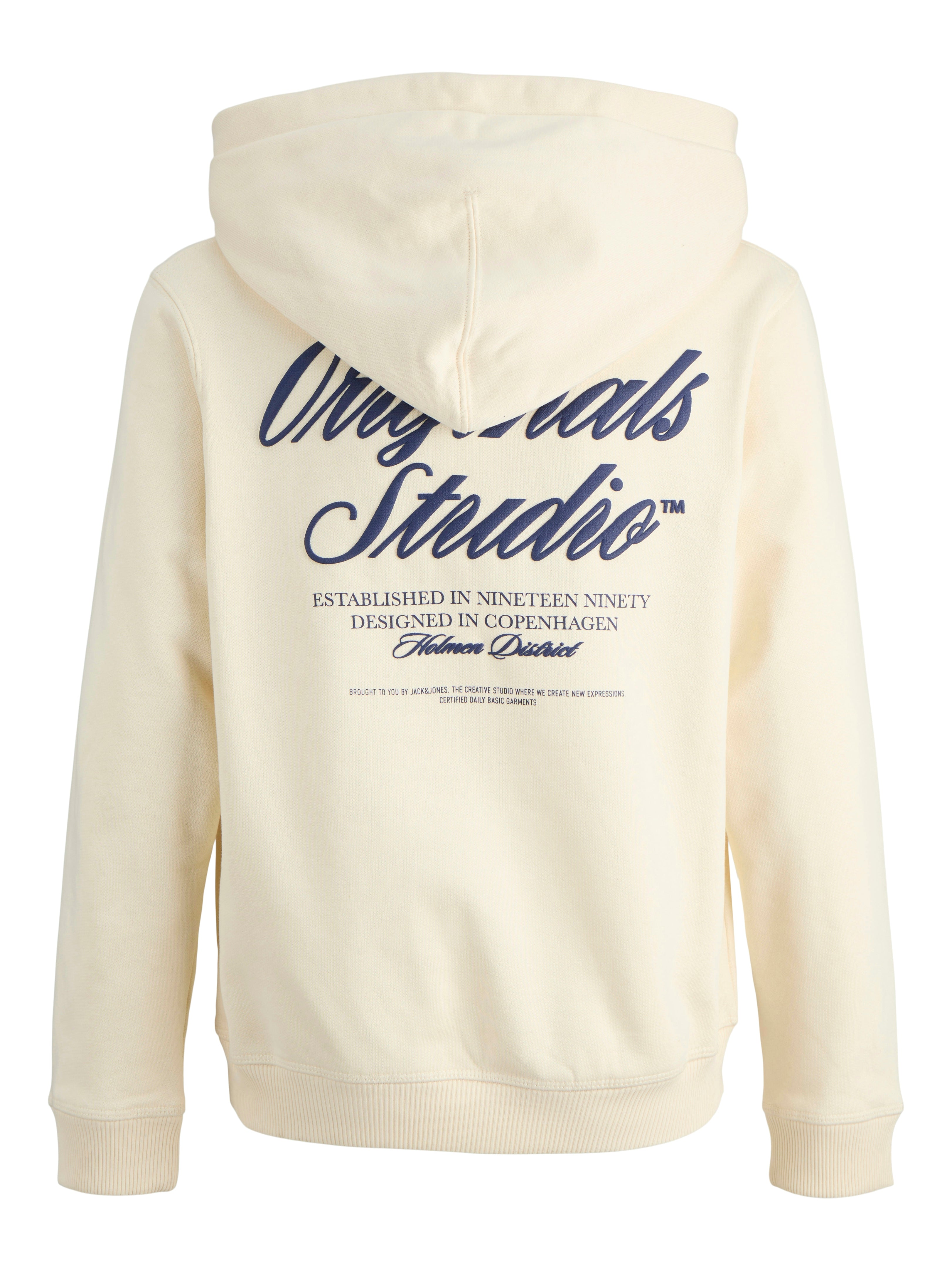 Jongens JORNORREBRO TYPO BACK SWEAT HOOD SN JNR van Jack & Jones Junior in de kleur Antique White in maat 176.