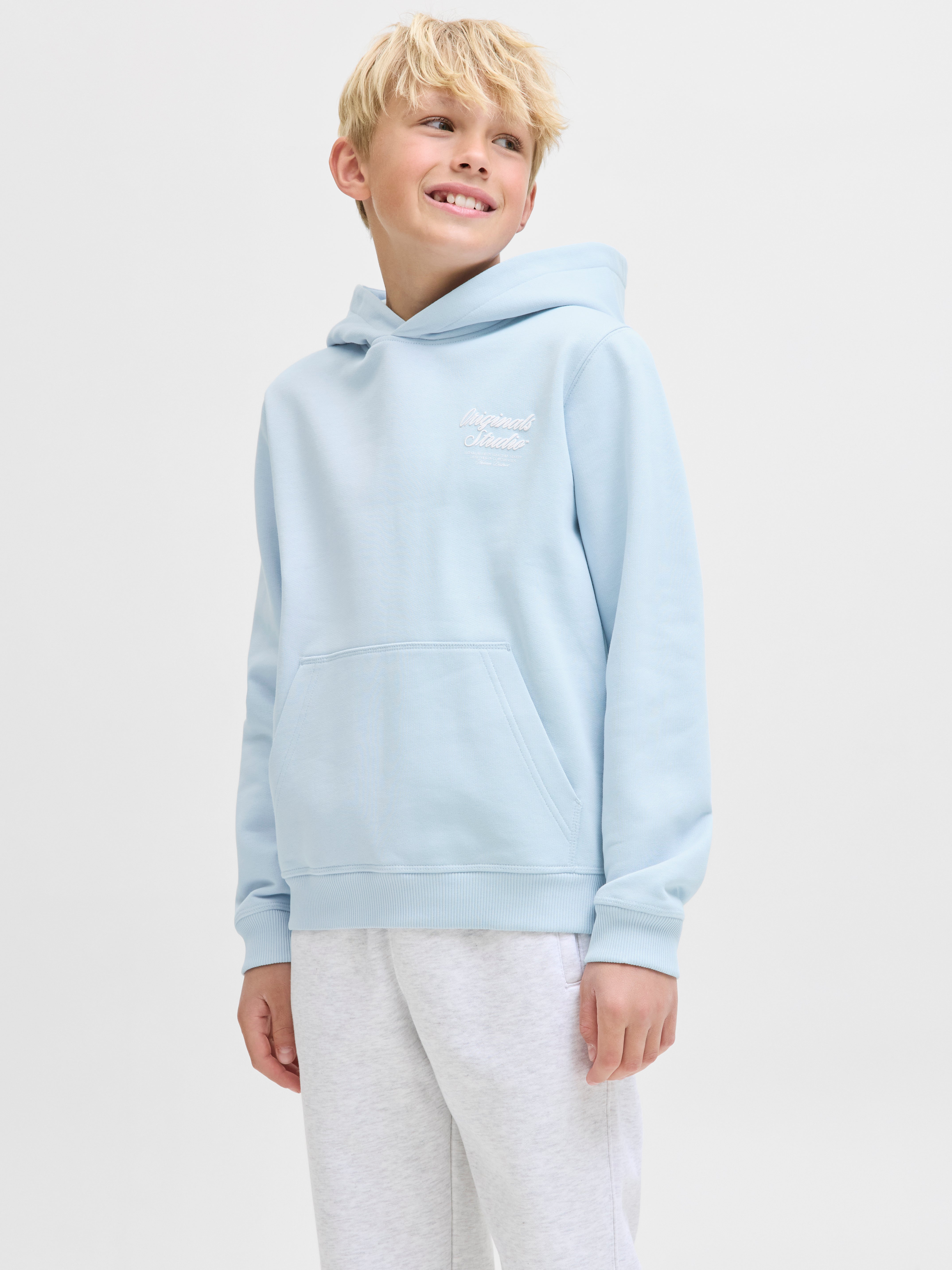 Jongens JORNORREBRO TYPO BACK SWEAT HOOD SN JNR van Jack & Jones Junior in de kleur Skyway in maat 176.