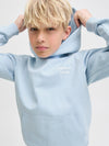 Jongens JORNORREBRO TYPO BACK SWEAT HOOD SN JNR van Jack & Jones Junior in de kleur Skyway in maat 176.