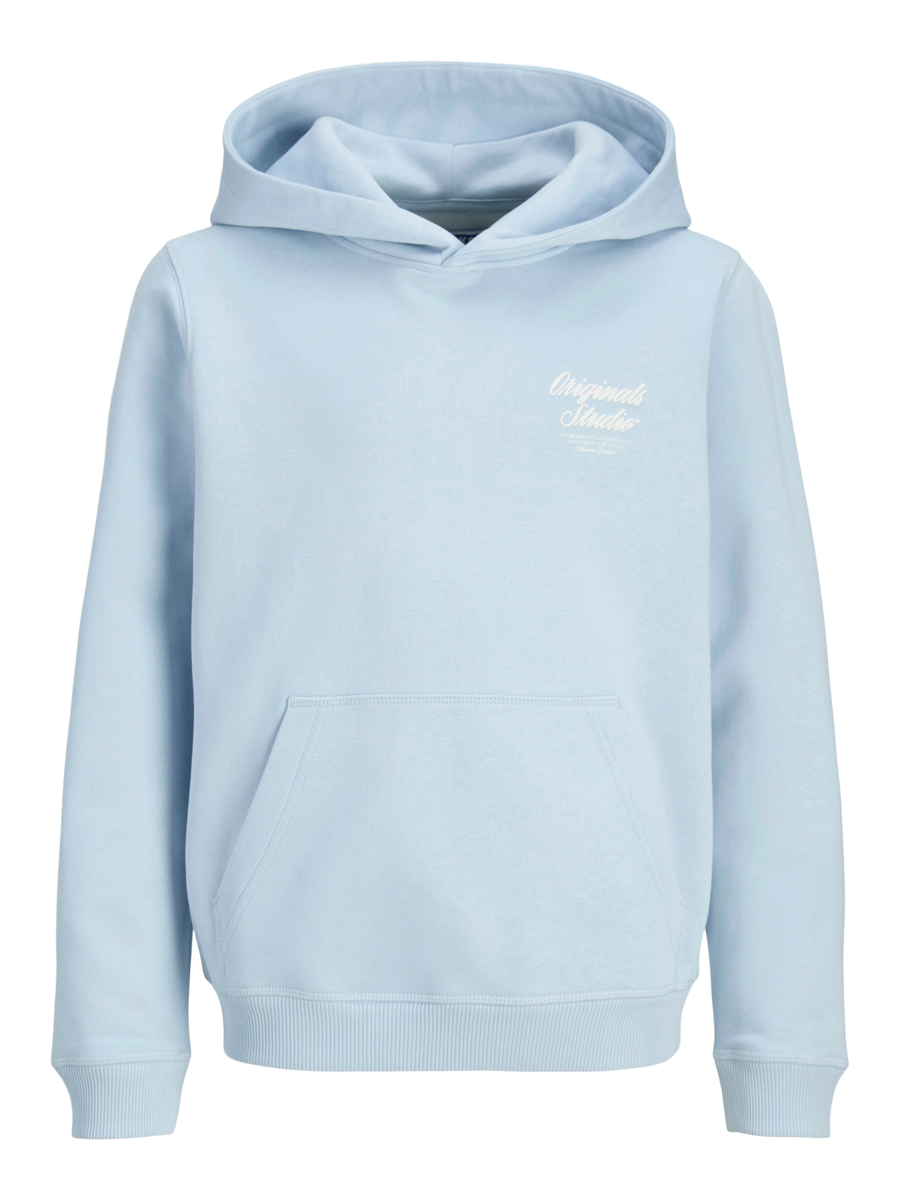 Jongens JORNORREBRO TYPO BACK SWEAT HOOD SN JNR van Jack & Jones Junior in de kleur Skyway in maat 176.