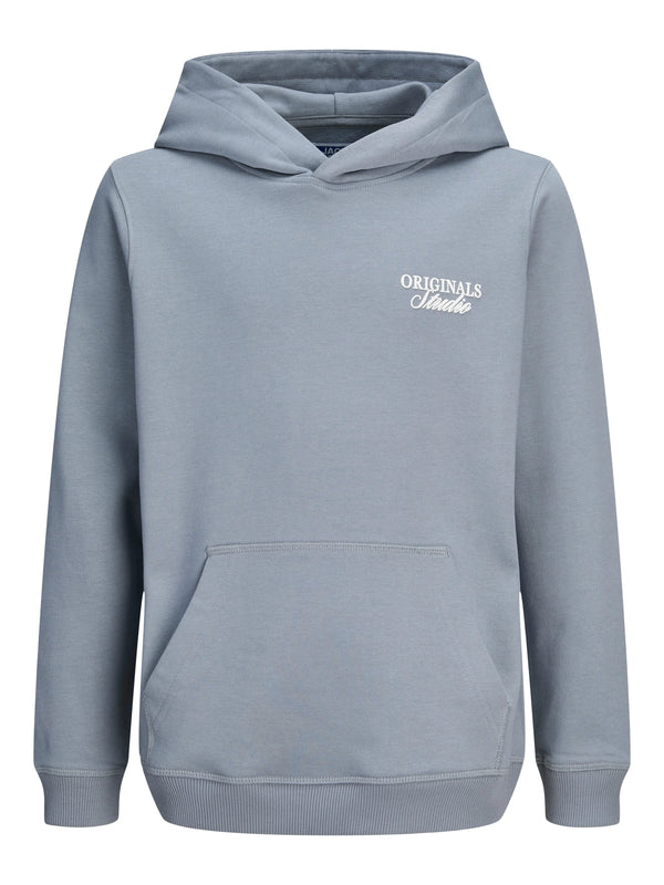 Jongens JORNORREBRO TYPO BACK SWEAT HOOD SN JNR van Jack & Jones Junior in de kleur Tradewinds in maat 176.