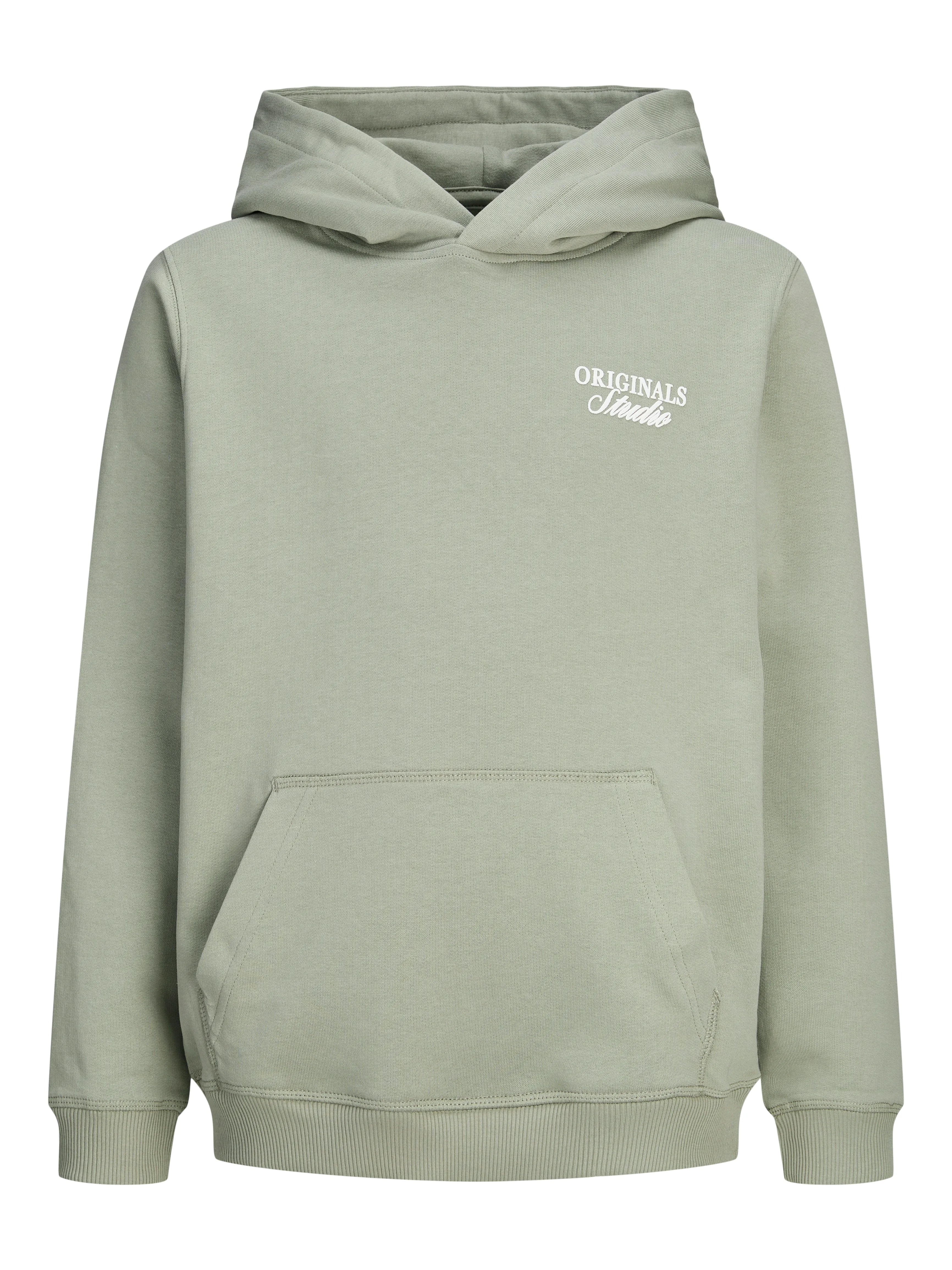 Jongens JORNORREBRO TYPO BACK SWEAT HOOD SN JNR van Jack & Jones Junior in de kleur Seagrass in maat 176.