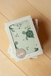 Jongens Timmy Turtle - Premium Summerwear by Feetje van Feetje in de kleur Mint in maat 86.