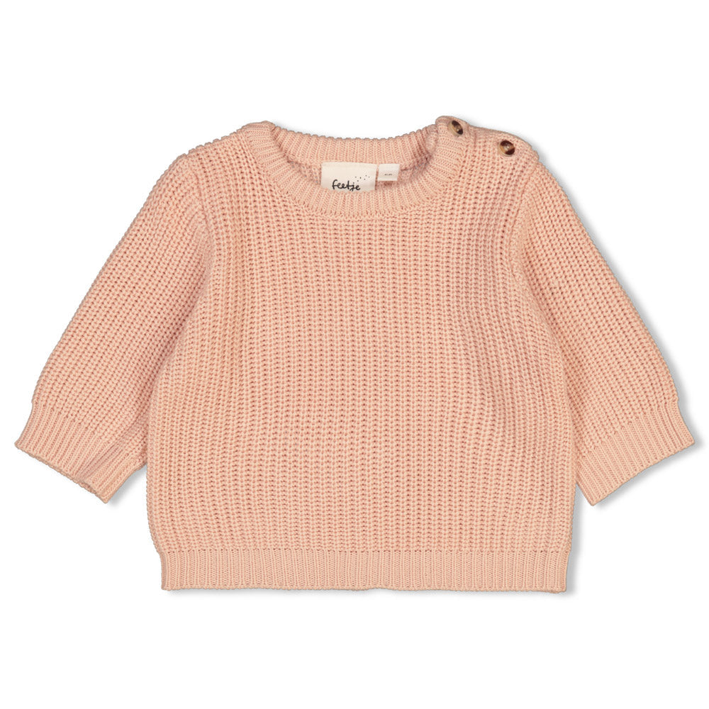 Meisjes Sweater gebreid - The Magic is in You van Feetje in de kleur Roze in maat 86.