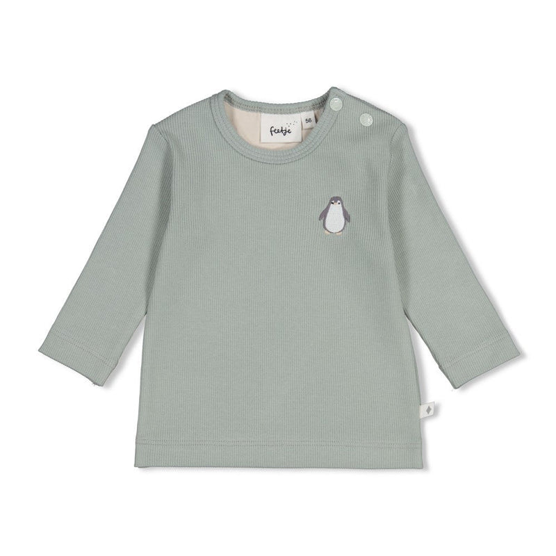 Jongens Longsleeve rib - Penguin Cuddles van Feetje in de kleur Zeegroen in maat 62.