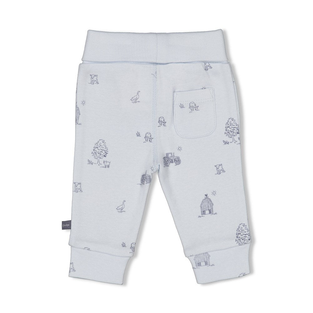 s Broek AOP rib - Farm Life van Feetje in de kleur Blauw in maat 62.