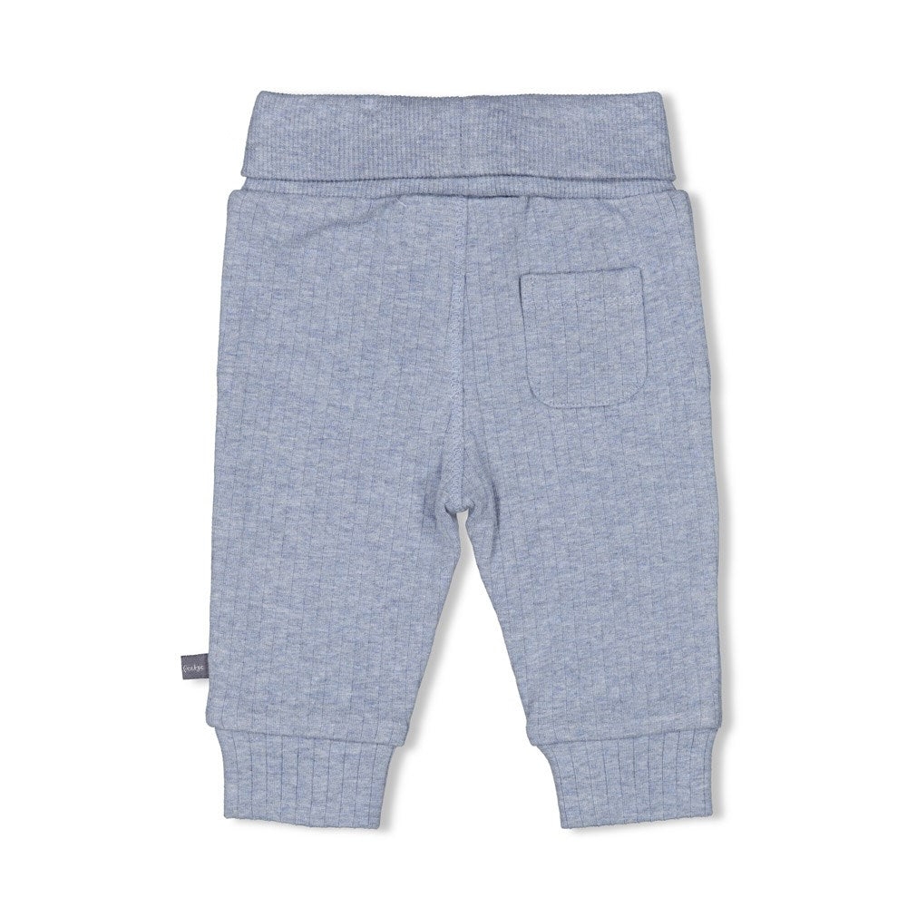 s Broek rib - Farm Life van Feetje in de kleur Blauw melange in maat 62.