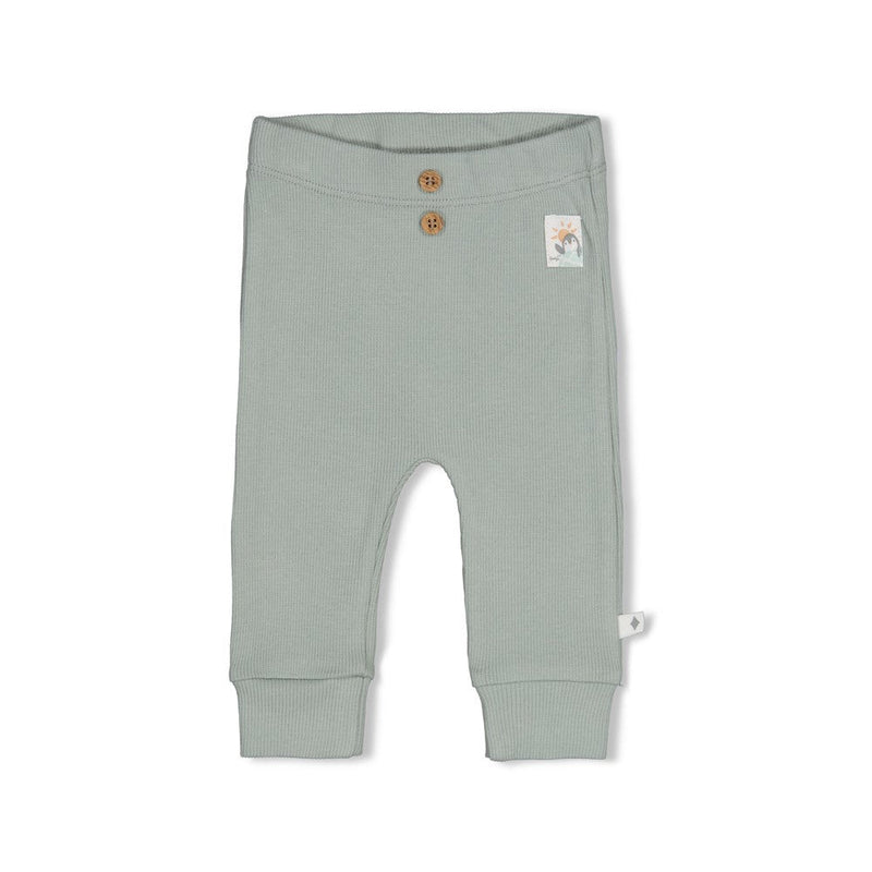Jongens Broek rib - Penguin Cuddles van Feetje in de kleur Zeegroen in maat 62.