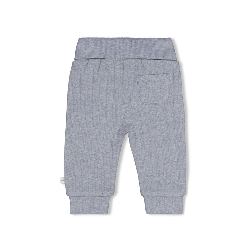 Jongens Broek rib - Breakfast Buddy van Feetje in de kleur Blauw melange in maat 62.
