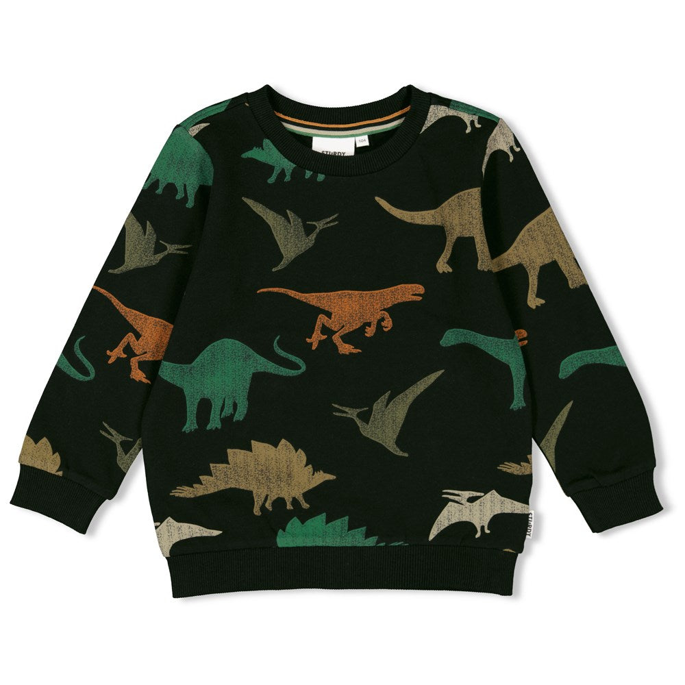 Sturdy Sweater AOP - He Ho Dino