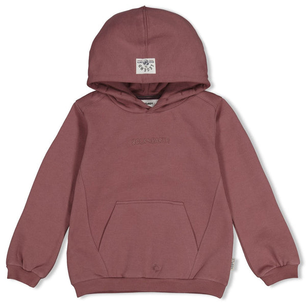 Jongens Hoody - Rock the Earth van Sturdy in de kleur Mauve in maat 128.