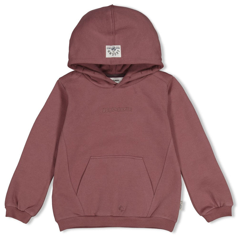 Jongens Hoody - Rock the Earth van Sturdy in de kleur Mauve in maat 128.