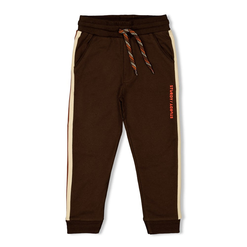 Sturdy Broek - Fly Wild