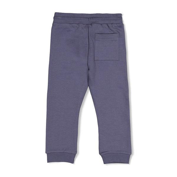 Sturdy Broek - Rock the Earth