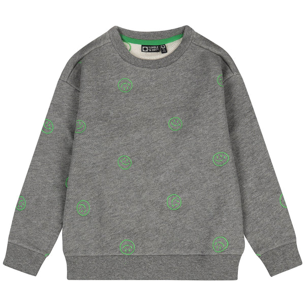 Jongens TND Sweatshirt Bach 2 van Tumble 'n Dry in de kleur grey melange in maat 98.