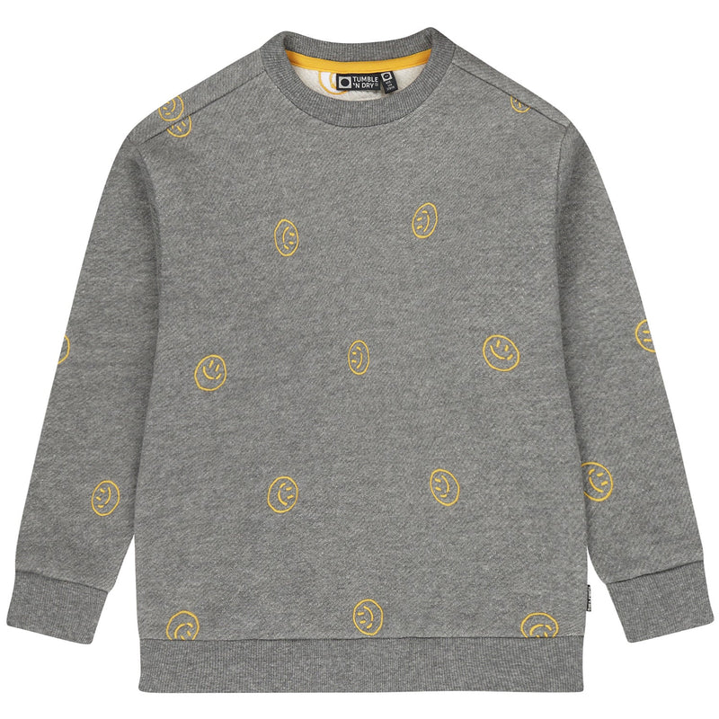 Jongens Sweatshirt Bach van Tumble 'n Dry in de kleur grey melange in maat 128.