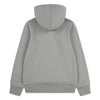 Levis BATWING SCREENPRINT HOODIE